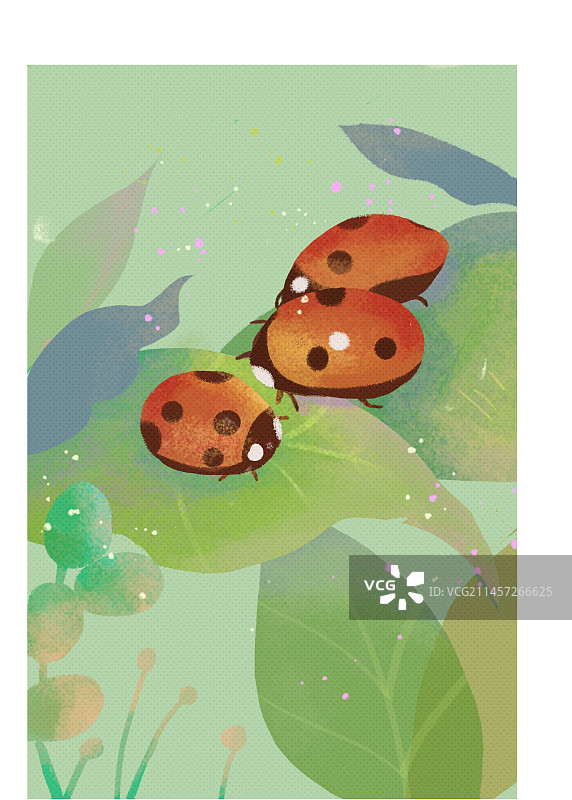 显微镜下，瓢虫家庭也有它们忙碌的身影。图片素材