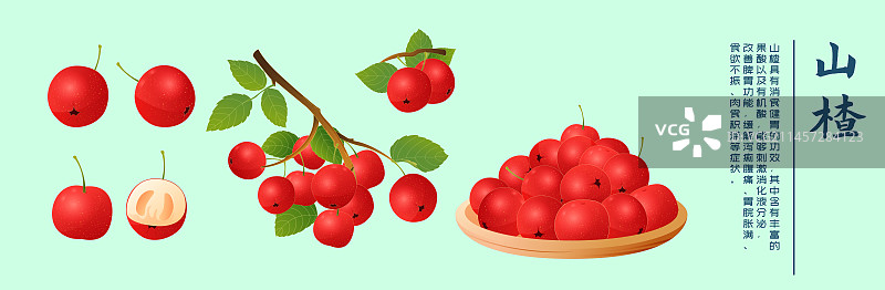 山楂水果中药药材图片素材