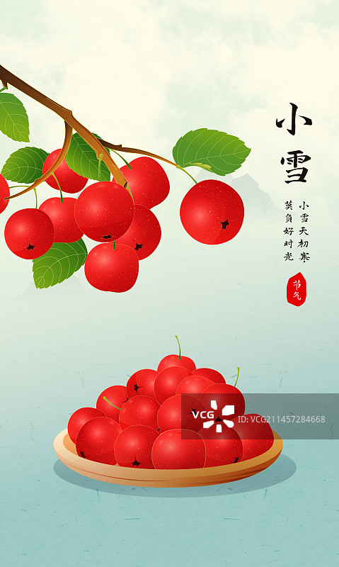 国风节气小雪山楂水果插画海报图片素材