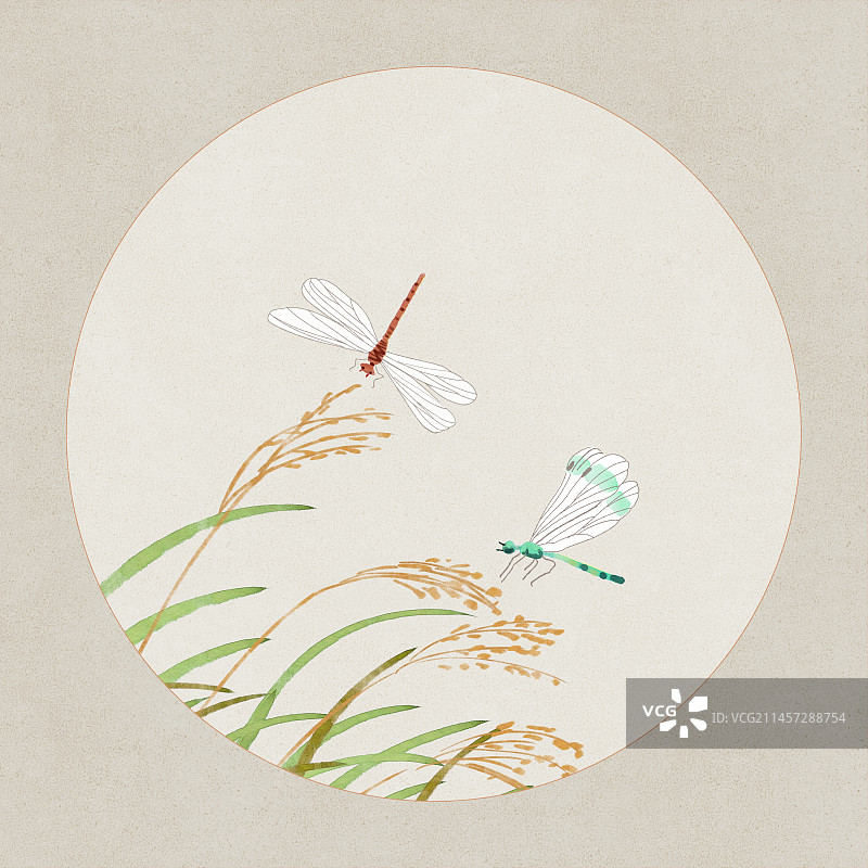 蜻蜓国画小品图片素材