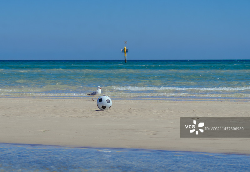 大海沙滩航标海鸥足球图片素材