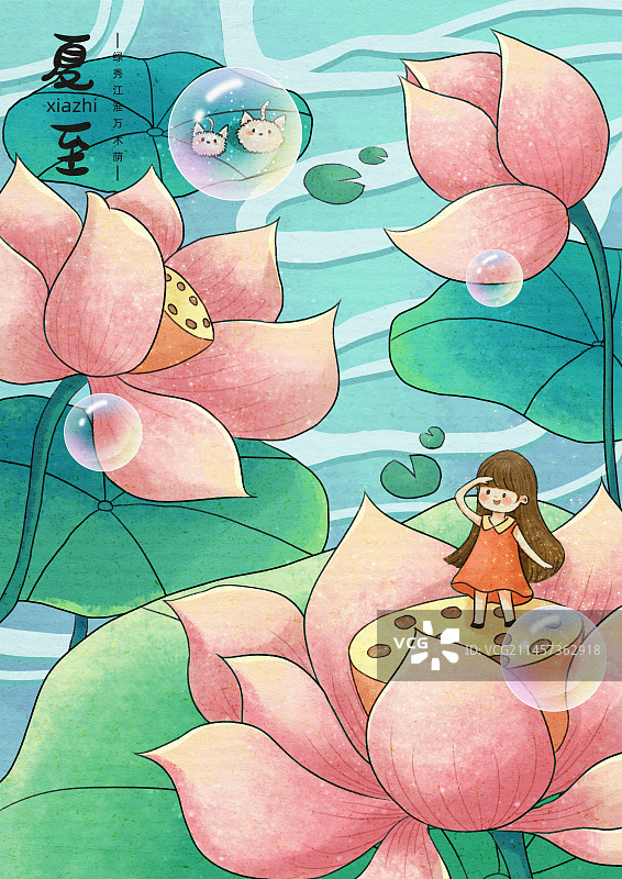 节气-夏至图片素材