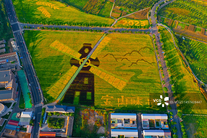 北京  怀柔乡村丰收稻田景如画图片素材