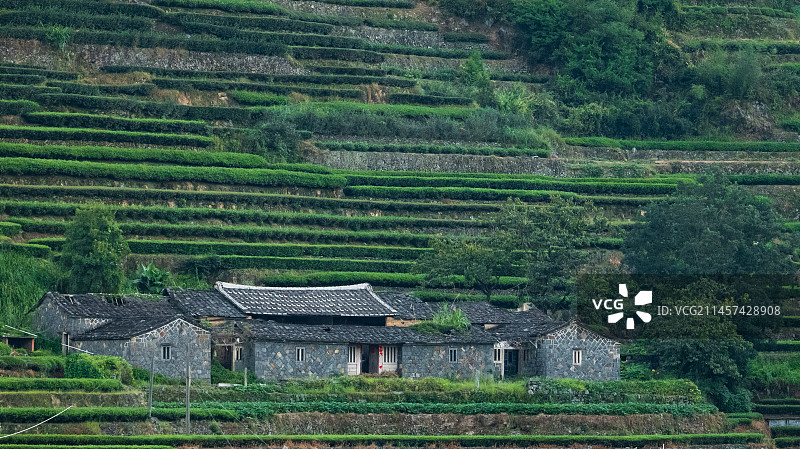 安溪茶乡闽南古厝图片素材
