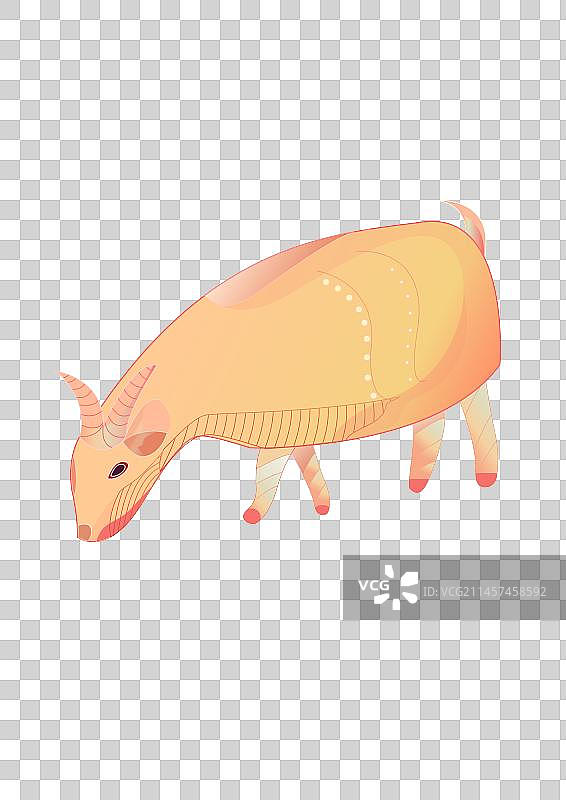 写实暖色系吃草的羊图片素材