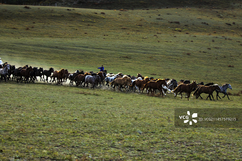 马队图片素材