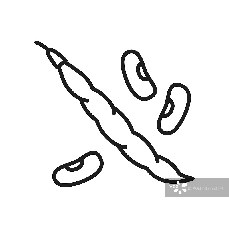 孤立的菜豆荚食品线性图标图片素材