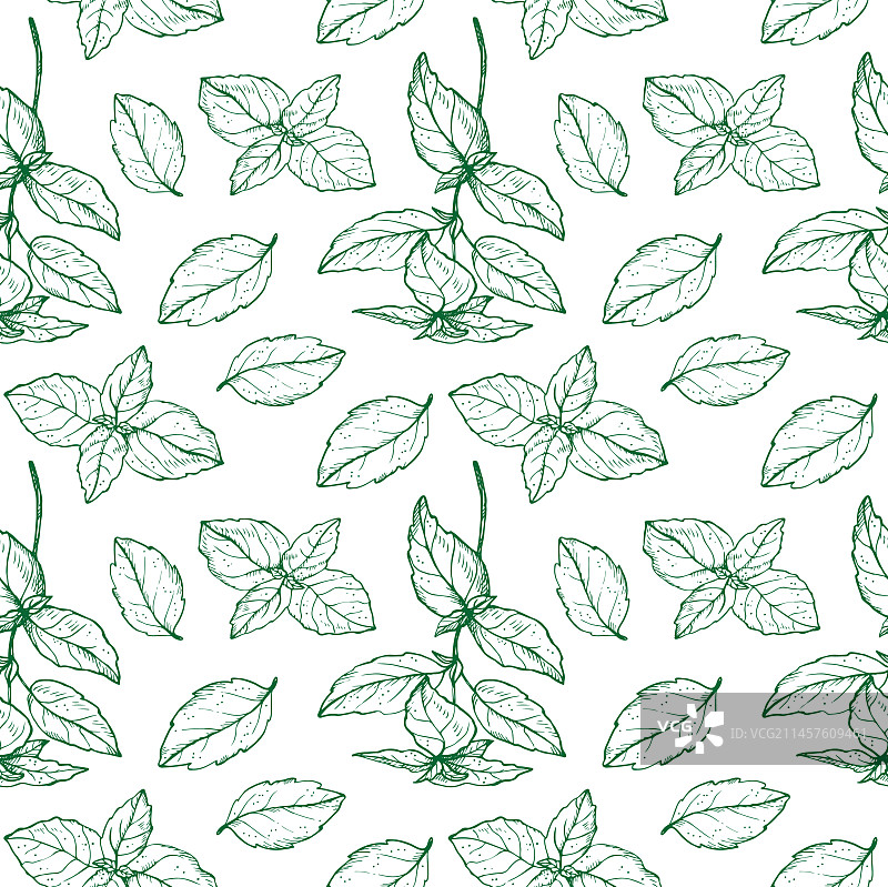 罗勒植物无缝图案图片素材