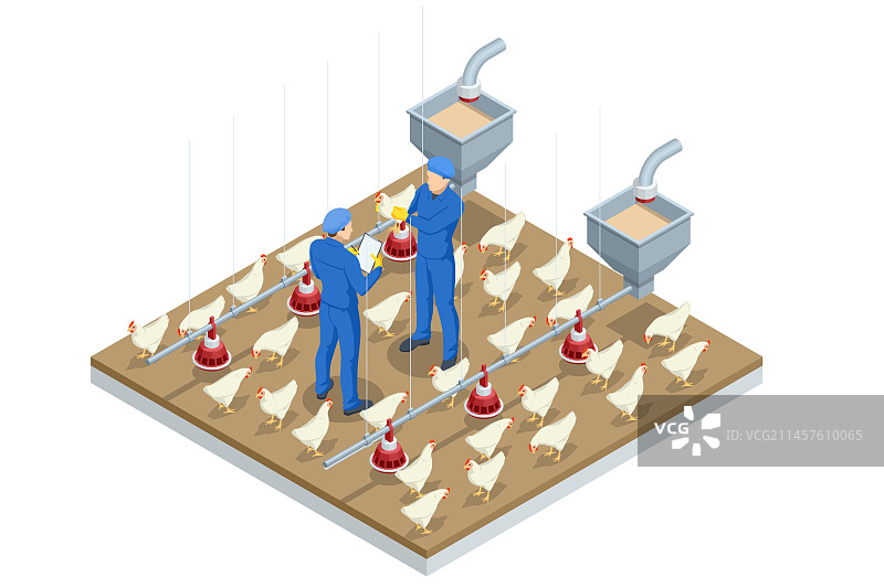 2.5D室内养鸡场喂鸡场景图片素材