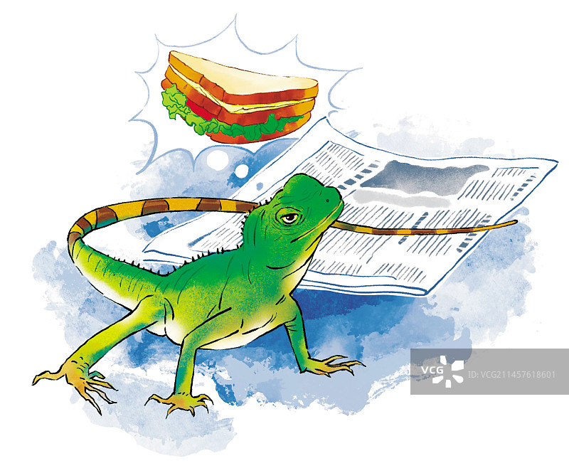 动物  通话图片素材