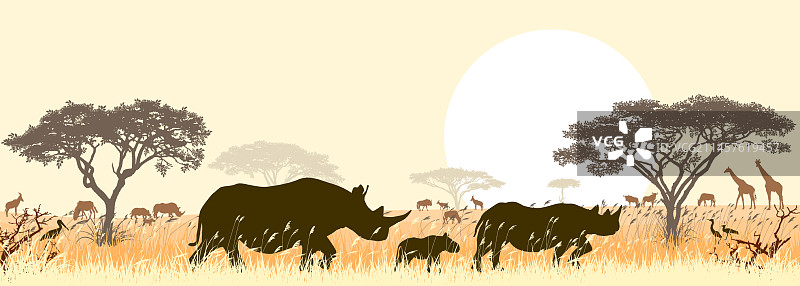 非洲稀树草原上的犀牛图片素材