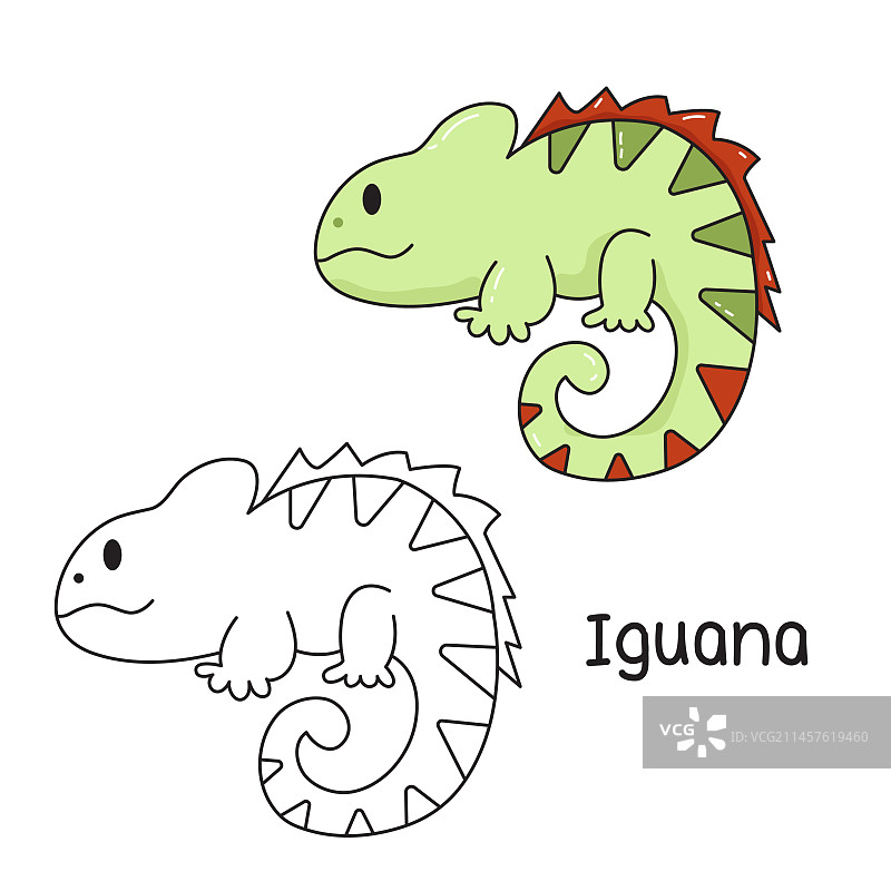 8月31日变色鬣蜥填色本图片素材