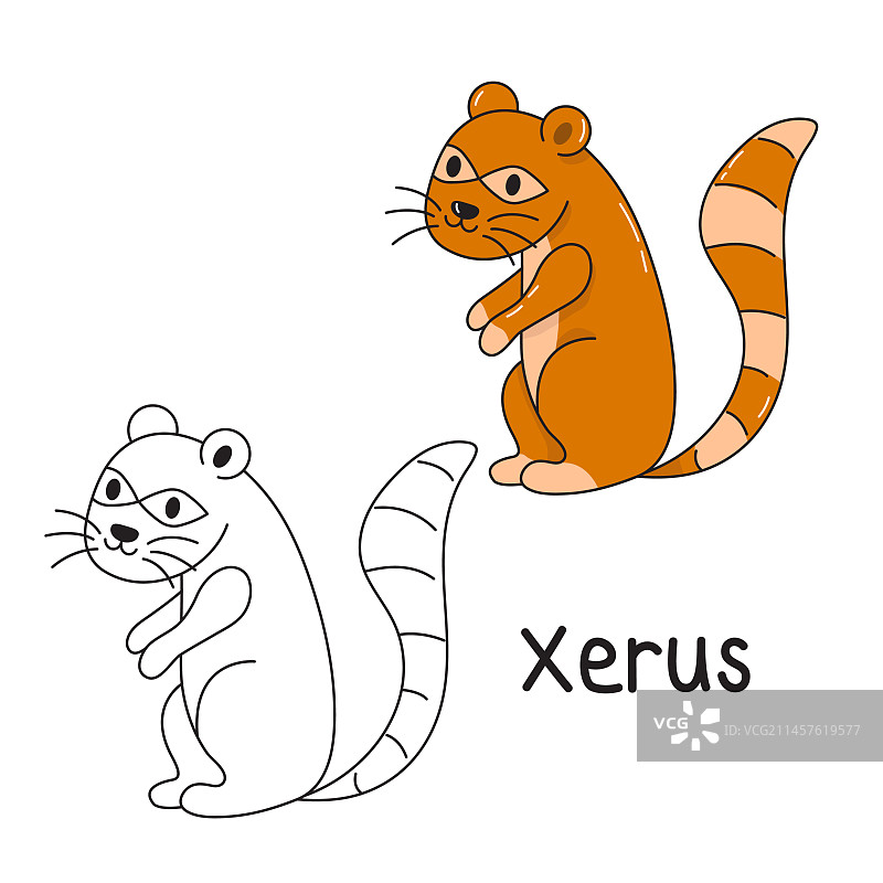 66-08-31 松鼠涂色书图片素材