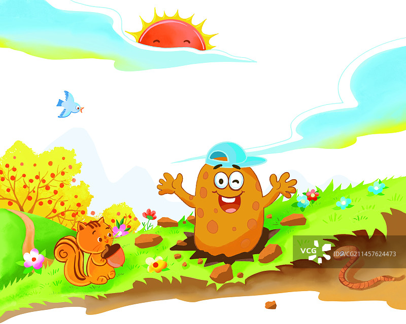 土豆红薯图片素材