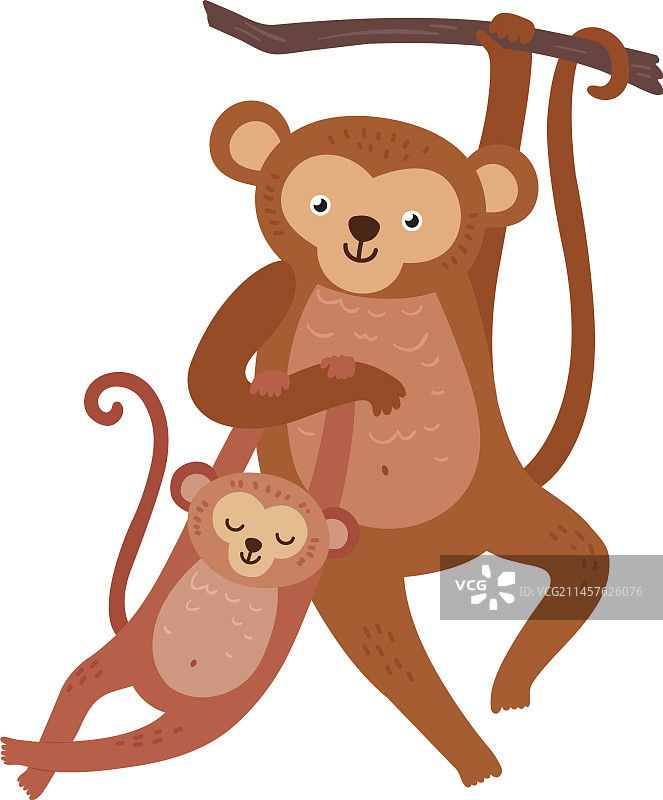 带幼崽挂在树上的猴子图片素材