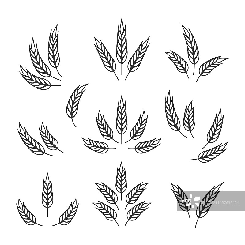 扁平风格农业小麦图标合集图片素材