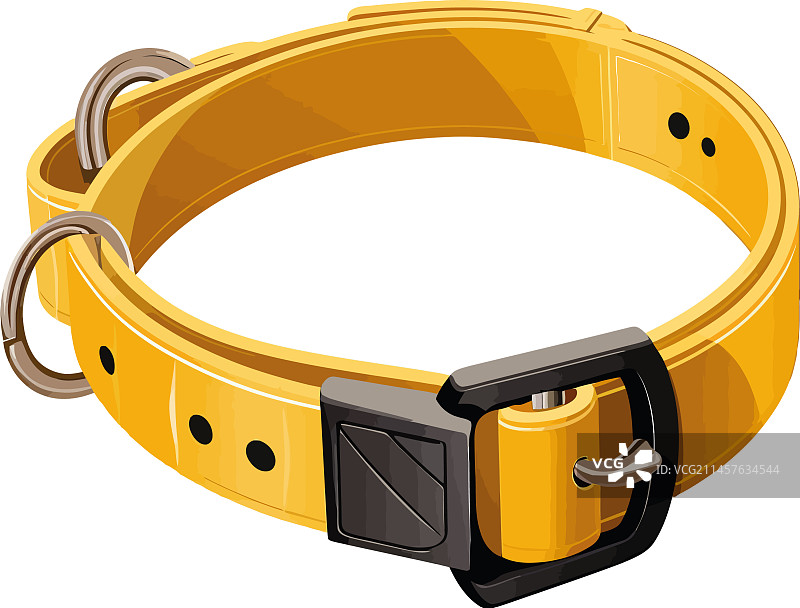 金色金属狗项圈图片素材