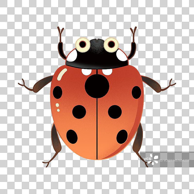 瓢虫图标免扣插画图片素材