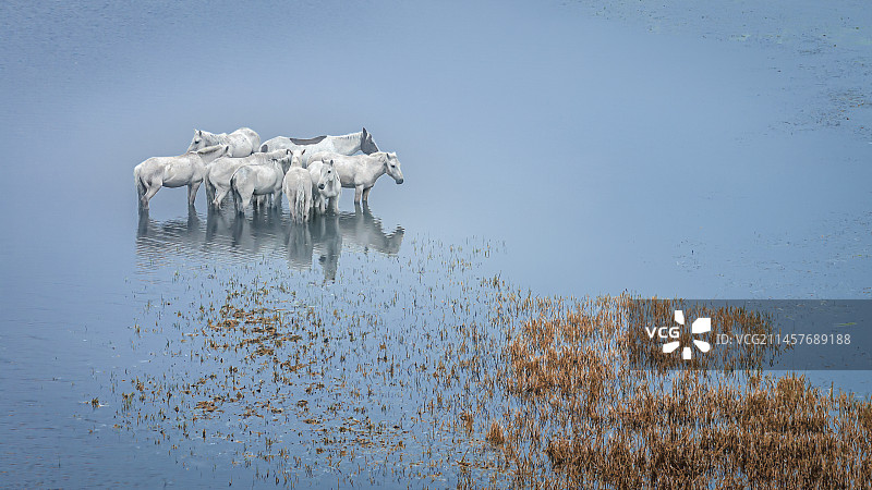 将军泡子图片素材