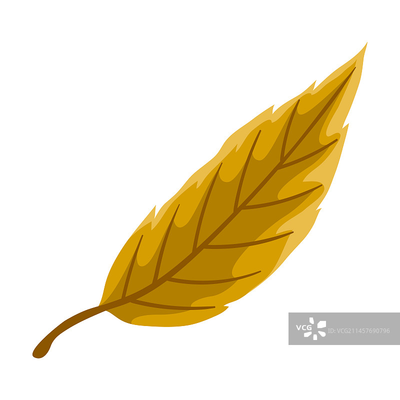 秋叶精美装饰图片素材