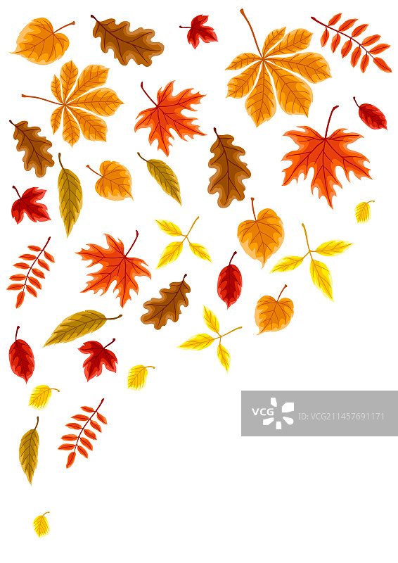 带秋叶的背景图片素材