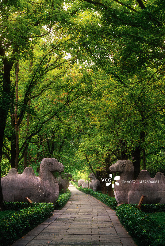 南京石象路图片素材