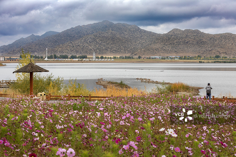 可可苏里图片素材