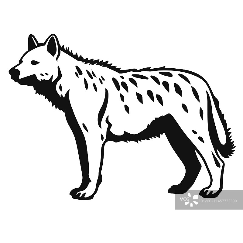 白色背景上的鬣狗黑色图标图片素材