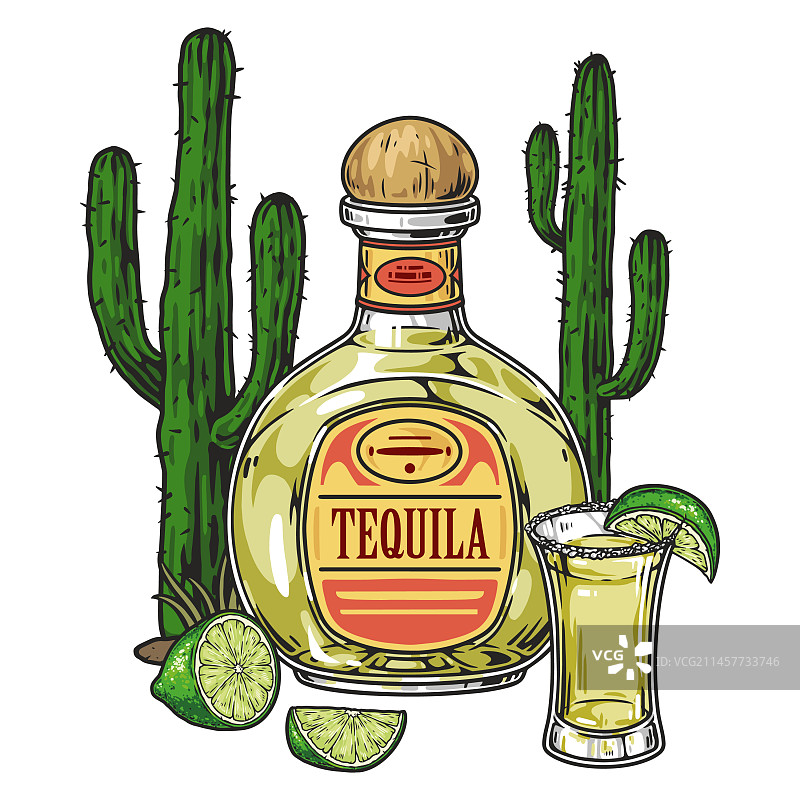 墨西哥龙舌兰酒宣传单图片素材