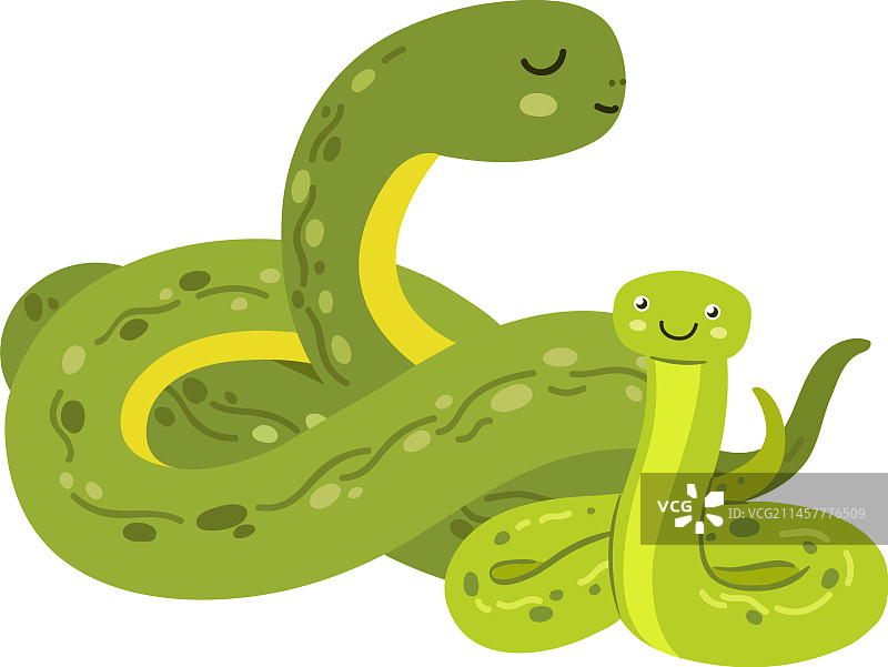 可爱的蛇宝宝和妈妈图片素材