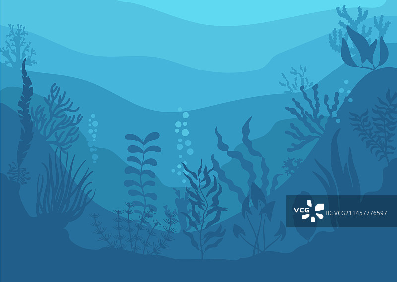 水下景观：海洋底部与植物图片素材