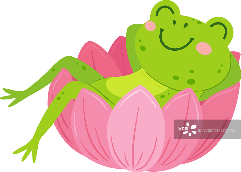 睡莲上的可爱青蛙，快乐动物形象图片素材