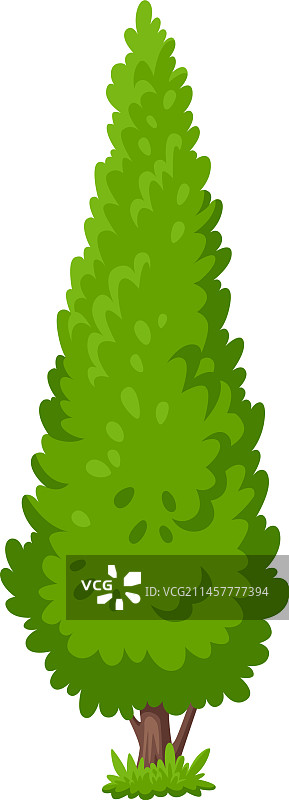 针叶树公园自然城市植物学元素图片素材