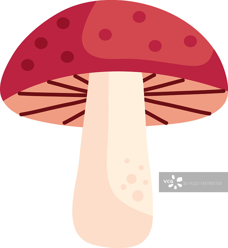 秋季蘑菇图标图片素材