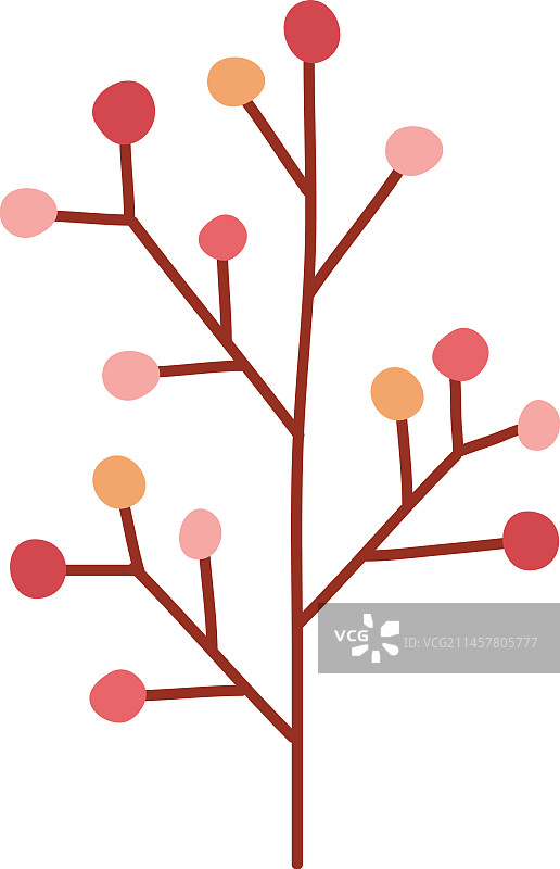 秋季树枝图片素材