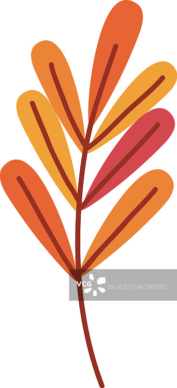 秋叶图标图片素材