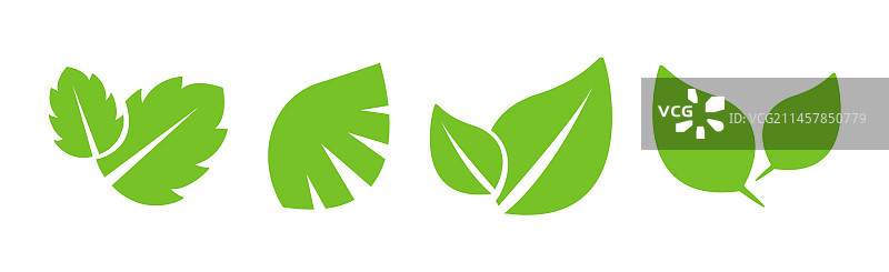 作为自然和树叶元素的绿色树叶图标图片素材