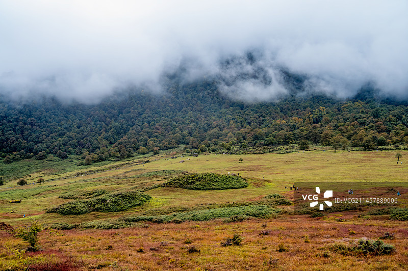 初秋雾气弥漫的四川峨边黑竹沟马里冷旧图片素材