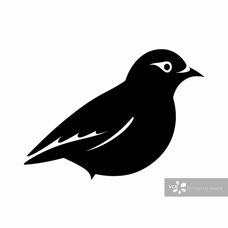 白色背景上的黑色鸽子图标图片素材