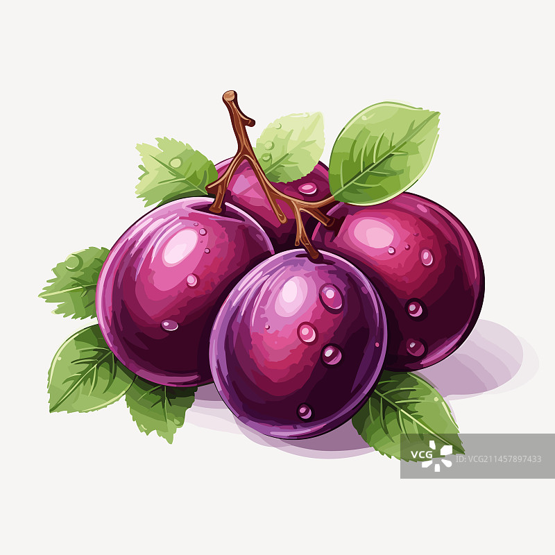 手绘卡通涂鸦风格的李子图片素材