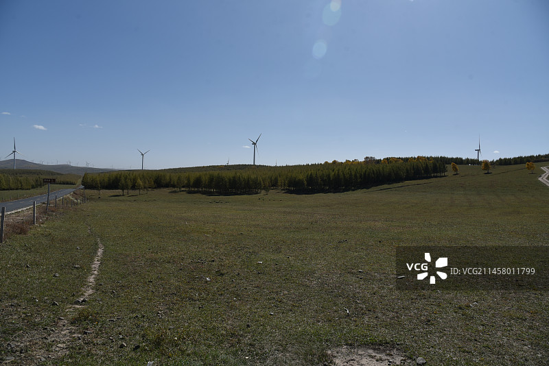 塞罕坝和御道口的秋天风景图片素材