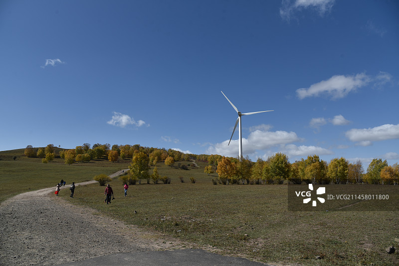 塞罕坝和御道口的秋天风景图片素材