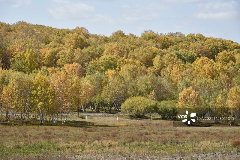 塞罕坝和御道口的秋天风景图片素材