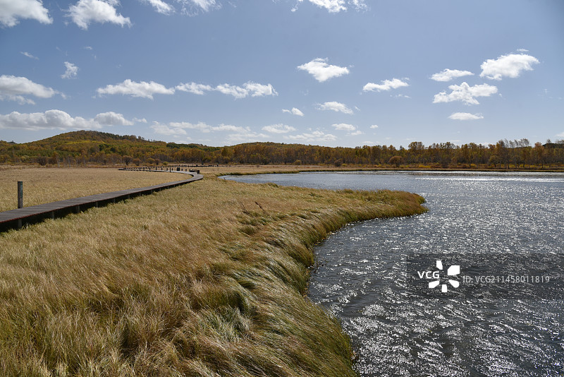 塞罕坝和御道口的秋天风景图片素材