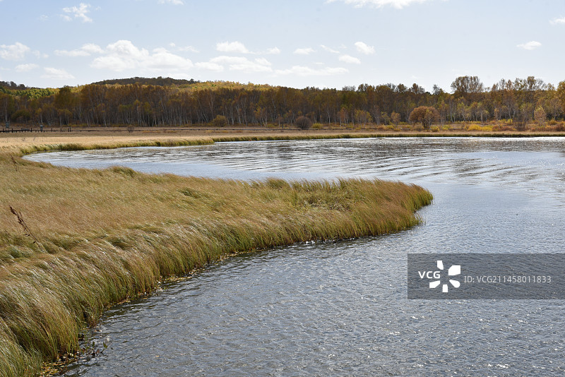 塞罕坝和御道口的秋天风景图片素材
