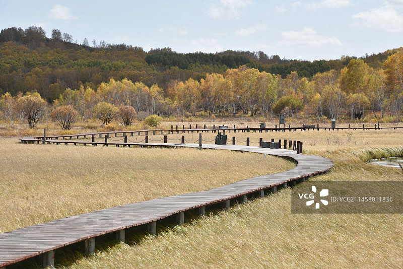塞罕坝和御道口的秋天风景图片素材