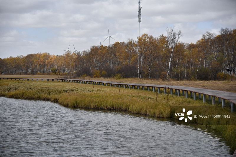 塞罕坝和御道口的秋天风景图片素材