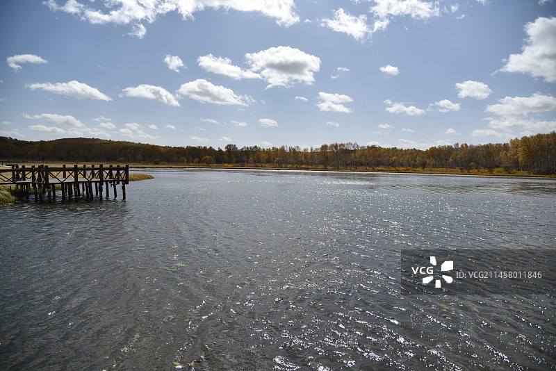 塞罕坝和御道口的秋天风景图片素材