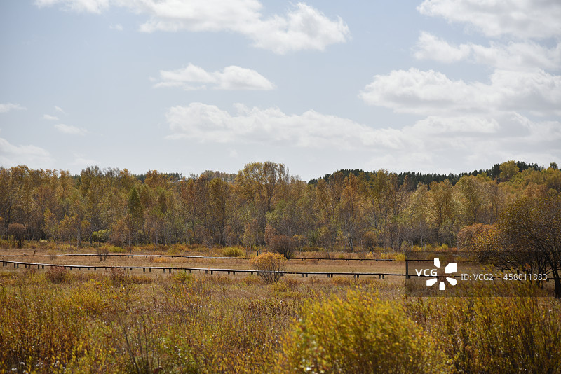塞罕坝和御道口的秋天风景图片素材