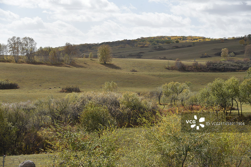 塞罕坝和御道口的秋天风景图片素材